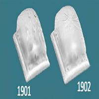 Papatya (Beyaz) 1XE27 1